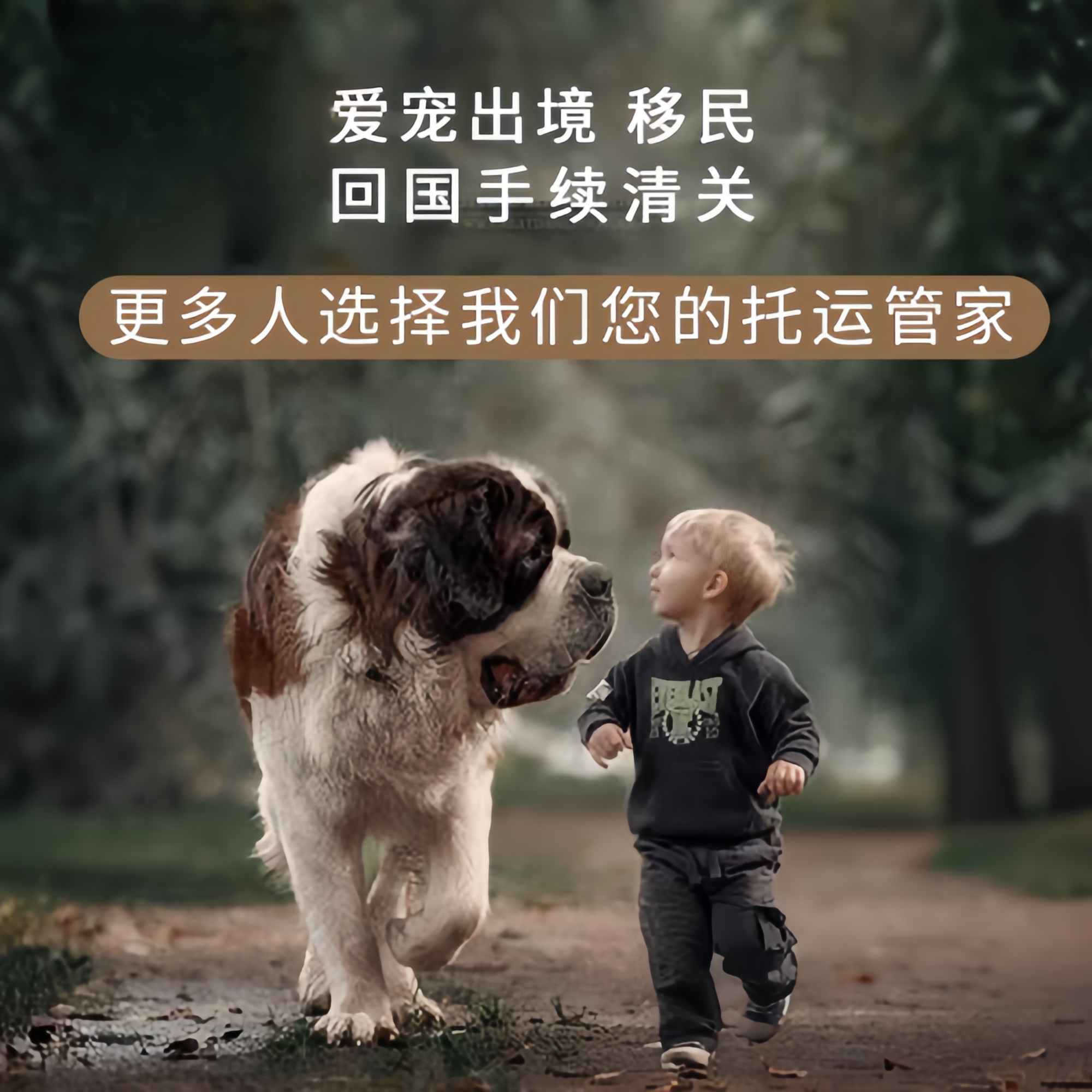 满财宁河区宠物全球达宠物托运在遵守入境目的地政策的条件