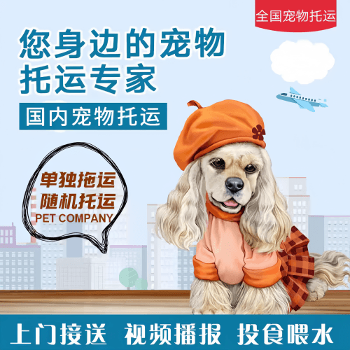 满财宁河区宠物全球达宠物托运作为专业的宠物运输代理机构
